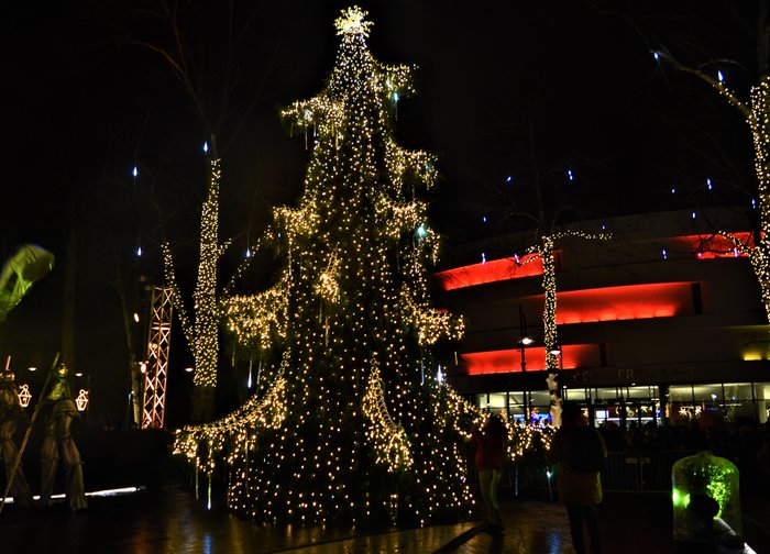 Muzikuojanti Palangos eglė „šoka“ ne tik savaitgaliais – šviesos ir muzikos žaismas užburs ir...