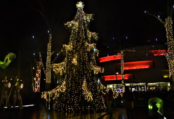 Muzikuojanti Palangos eglė „šoka“ ne tik savaitgaliais – šviesos ir muzikos žaismas užburs ir...