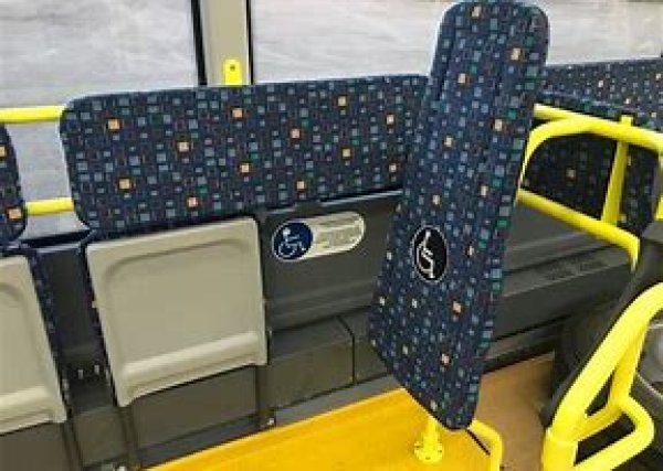 Iki karantino pabaigos sumažinamas reguliaraus susisiekimo maršrutų skaičius mieste. Kai kurie...