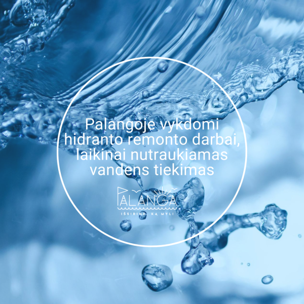 Palangoje vykdomi hidranto remonto darbai