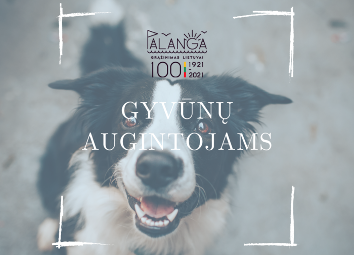 Gyvūnų augintojų, nesilaikančių gyvūnų laikymosi taisyklių, laukia administracinė atsakomybė