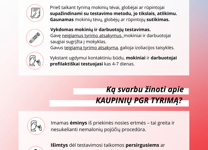 Nuo gegužės 3 d. Palangos miesto savivaldybėje pradinių klasių mokiniai, norėdami tęsti ugdymo...