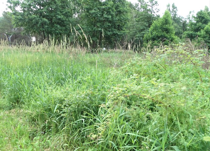 Dėmesio: bus sudaromas apleistų žemės sklypų sąrašas