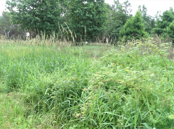 Dėmesio: bus sudaromas apleistų žemės sklypų sąrašas