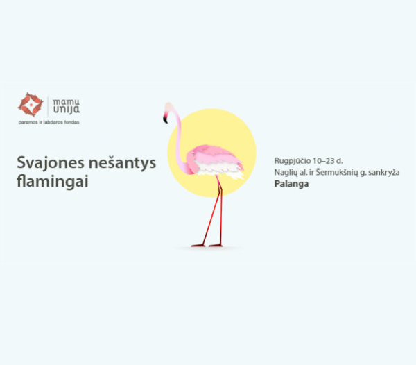 Lietuvoje unikalus projektas – trijuose miestuose nutūps sergančių vaikų svajones nešantys...