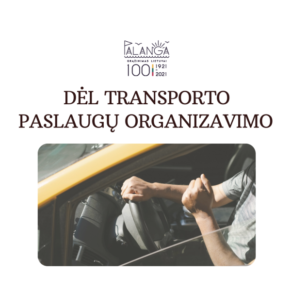 Dėl transporto paslaugų organizavimo asmenims, kurie dėl negalios, ligos ar senatvės negali...