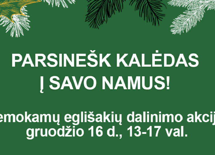 Miškininkai vėl nemokamai dalins eglės šakas – gruodžio 16 d. Lietuvoje vyks akcija „Parsinešk...
