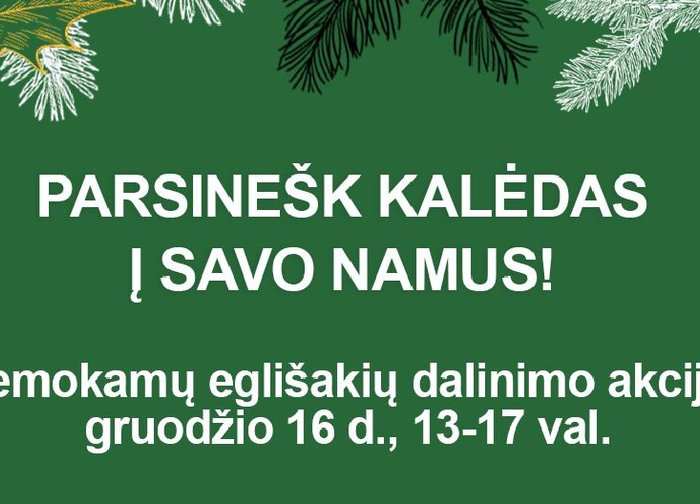 Parsinešk Kalėdas į savo namus