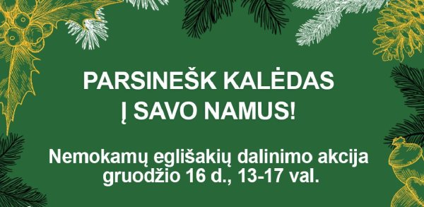 Parsinešk Kalėdas į savo namus