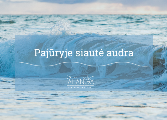 Savaitgalį pajūryje šėlusi audra Palangoje vartė medžius, talžė paplūdimius