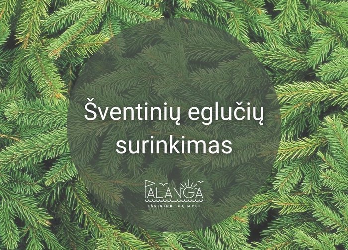 Atitarnavusios Kalėdų eglėms – specialios surinkimo vietos