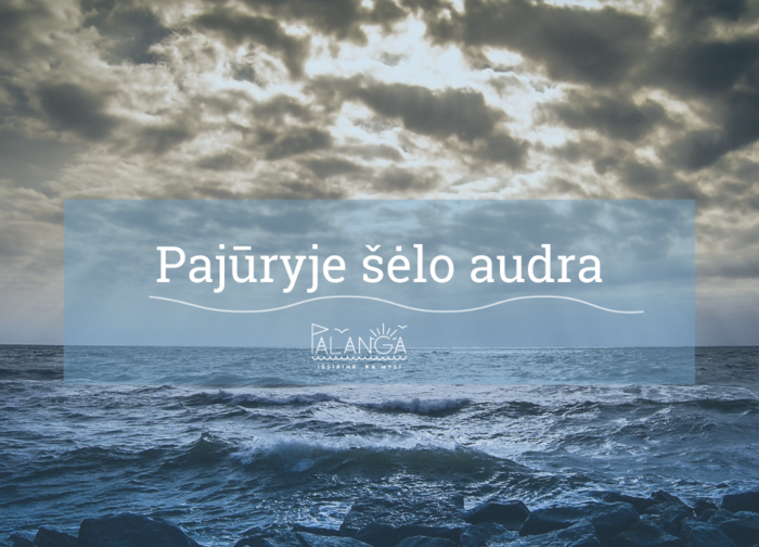 Įsisiautėjęs vėjas naktį Palangoje laužė medžius