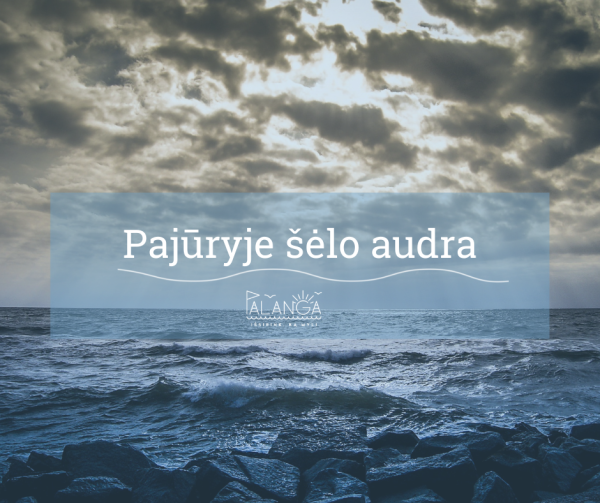 Įsisiautėjęs vėjas naktį Palangoje laužė medžius