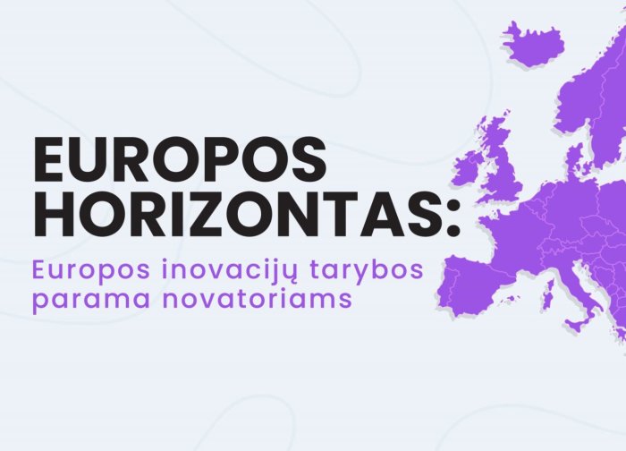 Individualūs mokymai Lietuvos verslo ir mokslo atstovams „Kaip parengti kokybišką paraišką...
