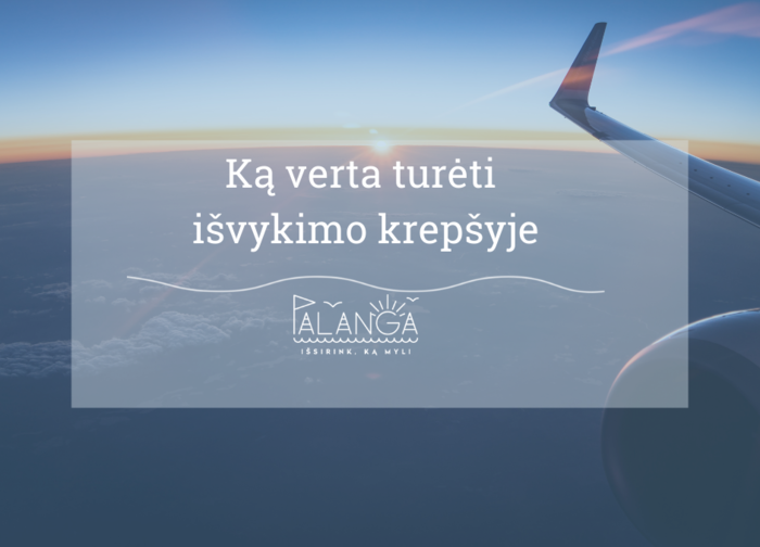  Išvykimo krepšys: jei pasiruošite netikėtoms situacijoms šiandien, ir jūs, ir jūsų artimieji...