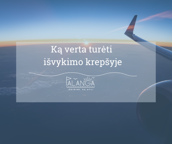  Išvykimo krepšys: jei pasiruošite netikėtoms situacijoms šiandien, ir jūs, ir jūsų artimieji...