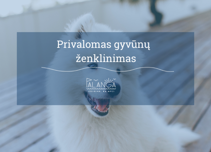 Dėl privalomo naminių gyvūnų ženklinimo išlaidų kompensavimo 