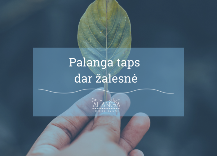 Palanga taps dar žalesnė – bus pasodinta apie 300 naujų medžių ir krūmų