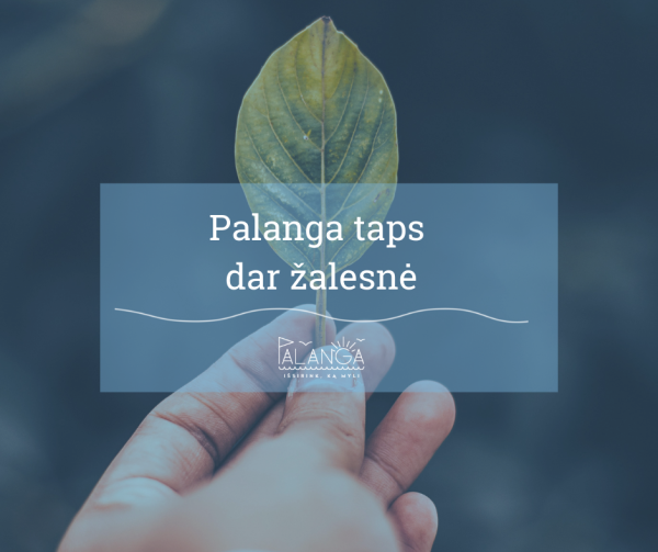 Palanga taps dar žalesnė – bus pasodinta apie 300 naujų medžių ir krūmų