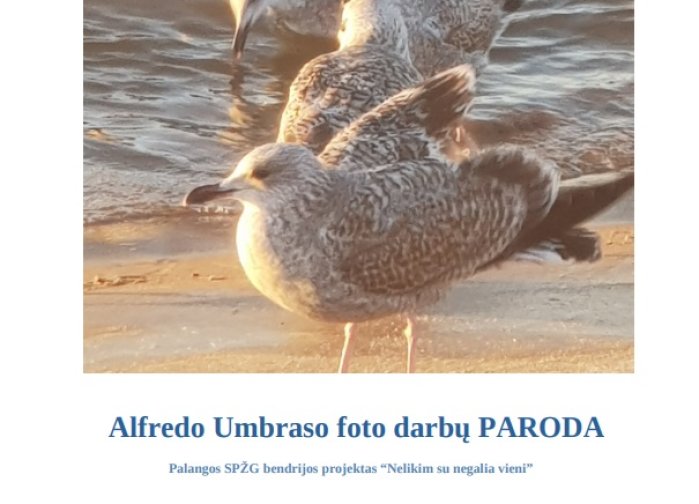 Alfredo Umbraso foto darbų paroda 