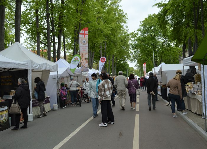 Festivalis „Myliu Palangą“ prasidėjo – kurortas kviečia tris dienas švęsti vasaros pradžią