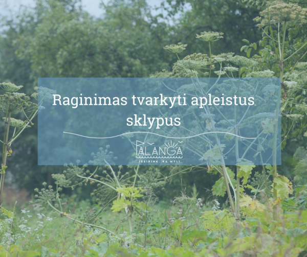 Iki liepos 1 d. bus sudarytas preliminarus Apleistų žemės sklypų sąrašas - savininkai raginami...