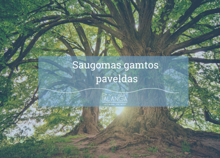Saugomi gamtos paveldo objektai 