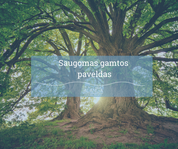 Saugomi gamtos paveldo objektai 