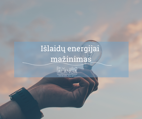 Informacija apie išlaidų energijai mažinimo galimybes