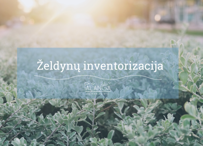 Nuo rugsėjo 12 d. Palangoje pradedama visų želdynų inventorizacija