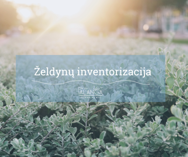 Nuo rugsėjo 12 d. Palangoje pradedama visų želdynų inventorizacija