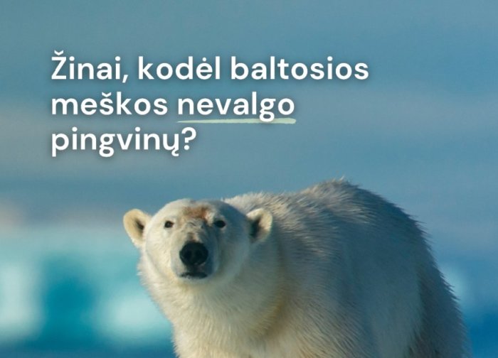 Kviečiame dalyvauti Nacionaliniame aplinkosaugos egzamine