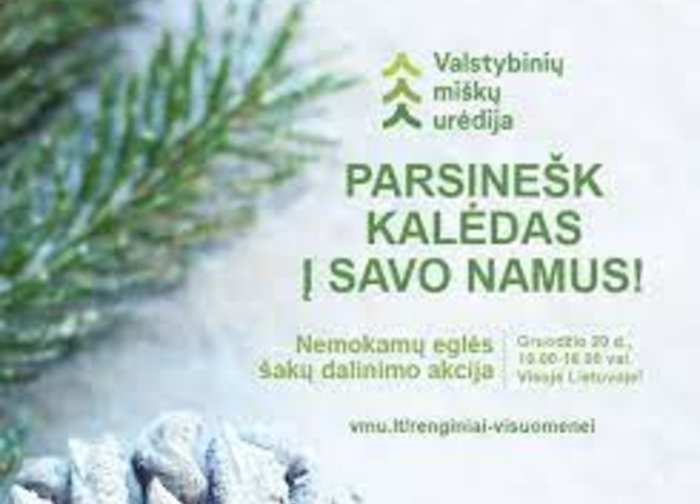 Miškininkai gruodžio 20 d. kaip ir kasmet kviečia parsinešti Kalėdas į savo namus