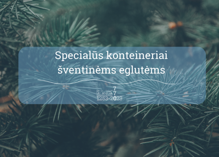 Kalėdinėms eglutėms surinkti – specialūs konteineriai
