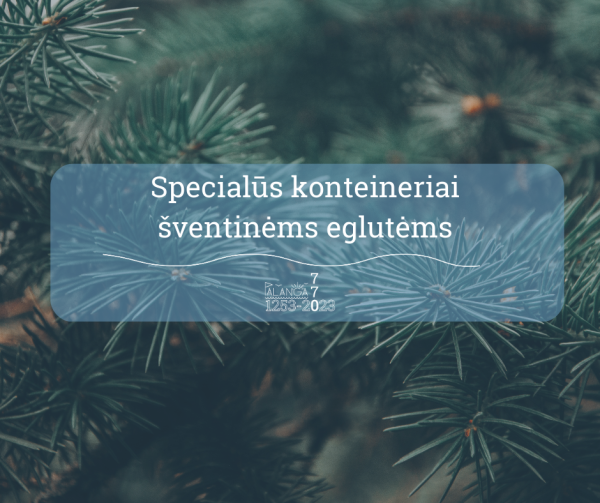 Kalėdinėms eglutėms surinkti – specialūs konteineriai