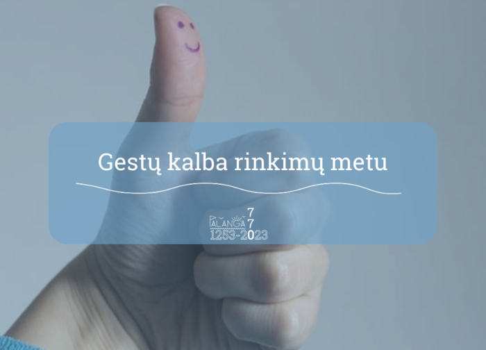 Gestų kalbos vertėjai ateina į pagalbą rinkimuose komunikuojant su klausos negalią turinčiais...