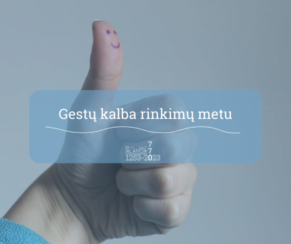 Gestų kalbos vertėjai ateina į pagalbą rinkimuose komunikuojant su klausos negalią turinčiais...