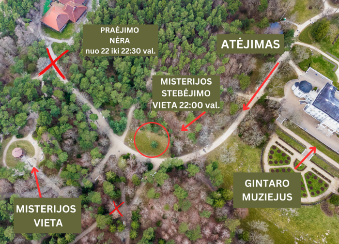 Jurginių festivalio dalis - įspūdinga teatralizuota šviesų misterija „Yr didis kalnas“