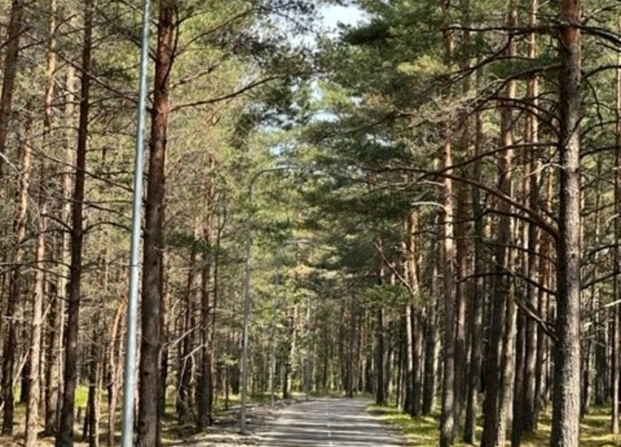 Dviratininkai vakarėjant jausis patogiau - baigti dviračių tako atkarpos  nuo Lino tako iki...