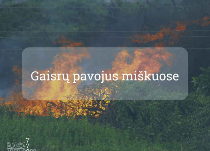  Didėja miško gaisrų kilimo pavojus!