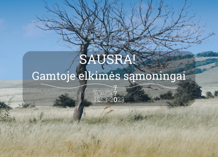 Sausra: Palangos miesto savivaldybės administracija prašo itin atsakingai elgtis pajūrio miškuose...