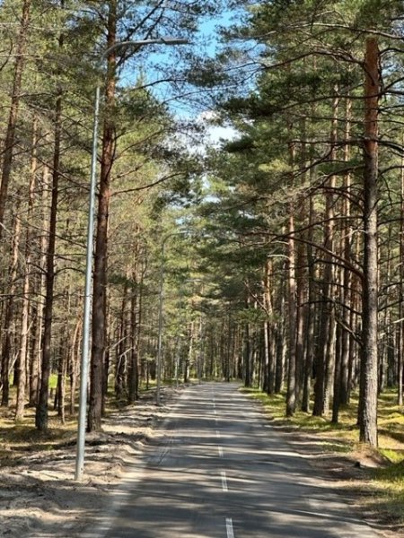 Dviratininkai vakarėjant jausis patogiau - baigti dviračių tako atkarpos  nuo Lino tako iki...