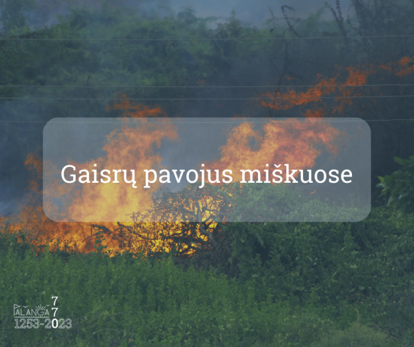 Didėja miško gaisrų kilimo pavojus!