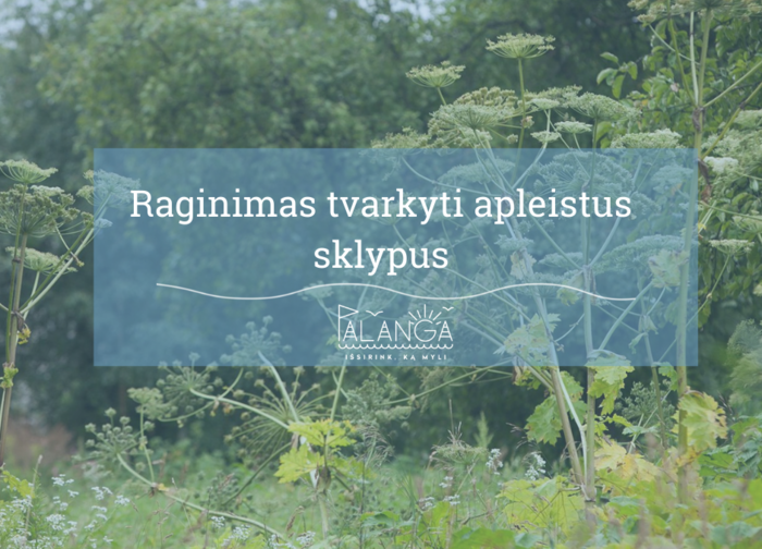 Dėl preliminaraus nenaudojamų, apleistų žemės sklypų sąrašo sudarymo