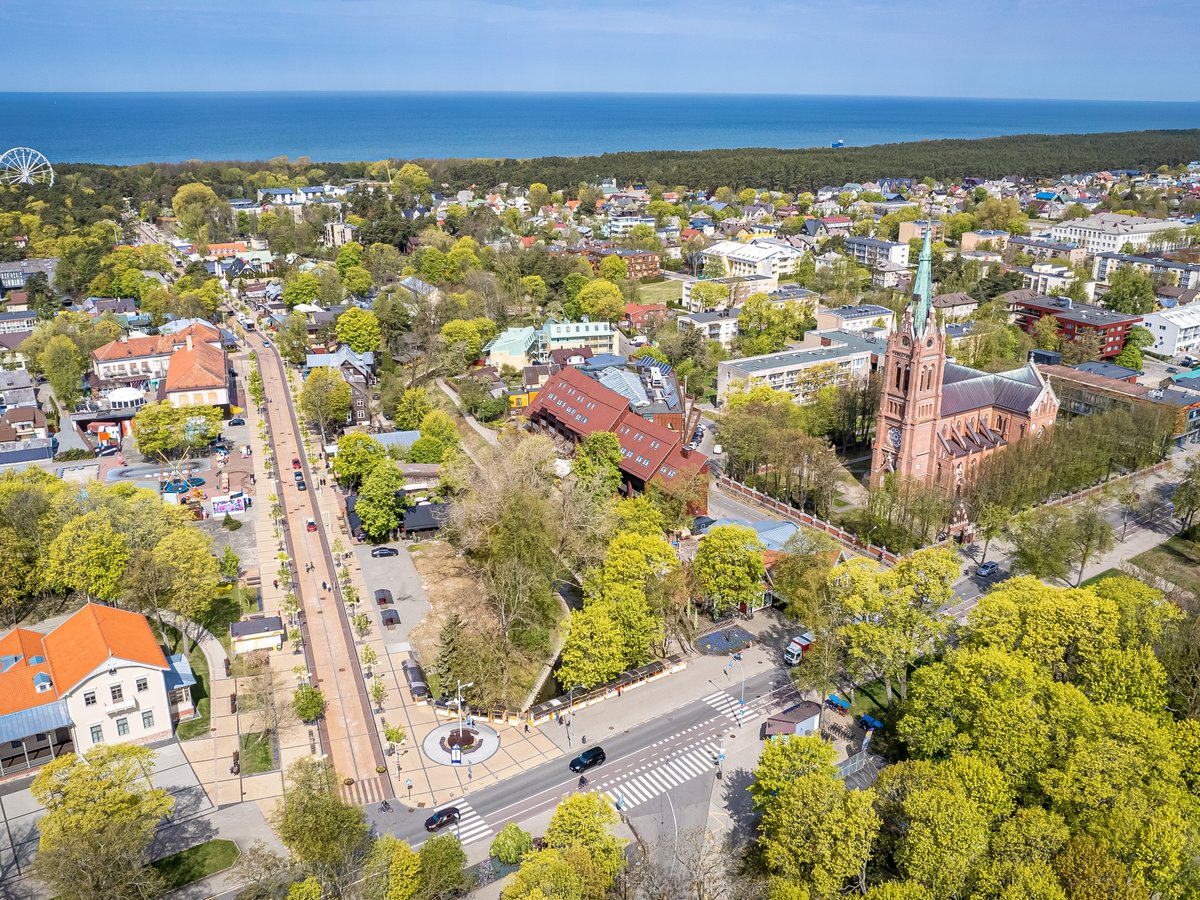 Palanga dešimt kartų padidino atkuriamąją medžių vertę: už nukirstą ...