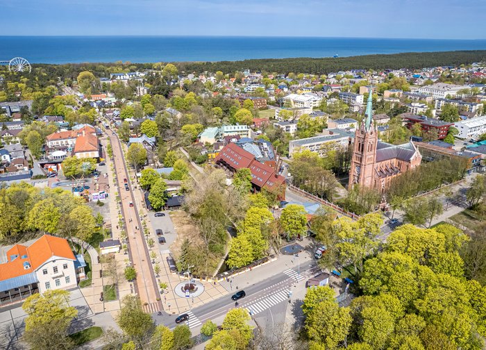 Palanga dešimt kartų padidino atkuriamąją medžių vertę: už nukirstą pušį gali tekti sumokėti 18...