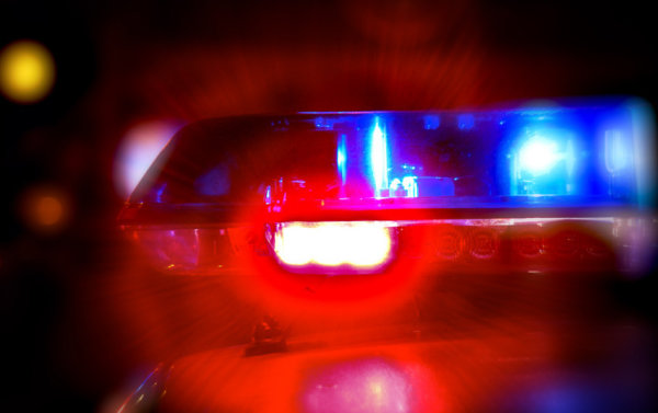 Palangos mero Šarūno Vaitkaus sveikinimas Policijos (Angelų sargų) dienos proga
