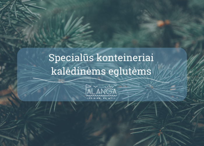 Su Kalėdų eglutėmis atsisveikinkite tinkamai – nuo sausio 3 d. joms surinkti įrengiami specialūs...