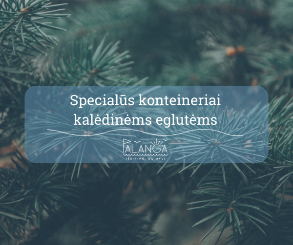 Su Kalėdų eglutėmis atsisveikinkite tinkamai – nuo sausio 3 d. joms surinkti įrengiami specialūs...