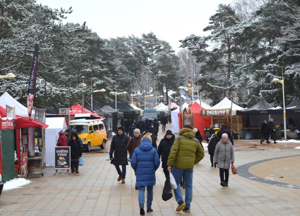 Palanga šurmuliuoja – prasideda Stintų šventė